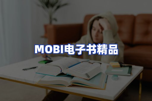 外文电子书产品